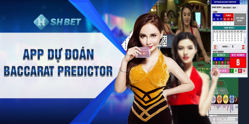 App dự đoán Baccarat Predictor