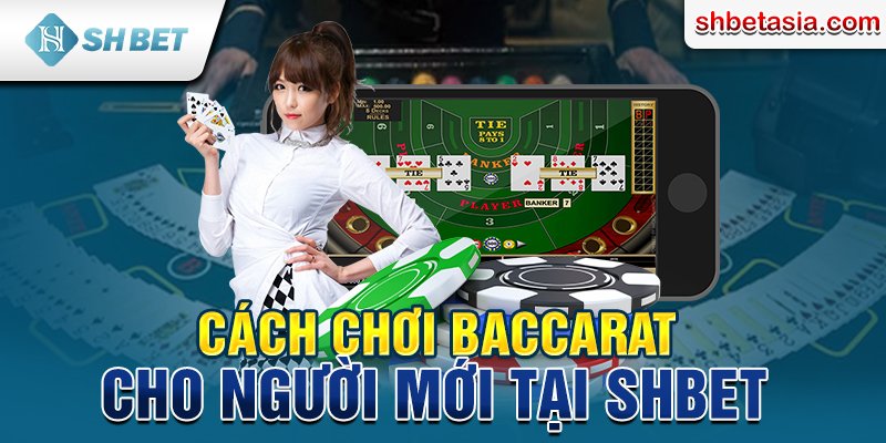 Cách chơi baccarat cho người mới tại SHBET 