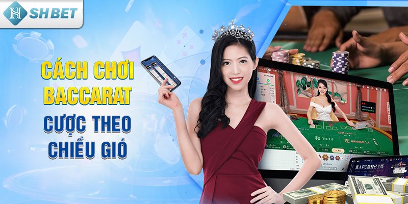 Cách chơi Baccarat cược theo chiều gió