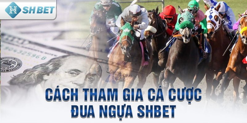 Cách tham gia cá cược đua ngựa SHbet