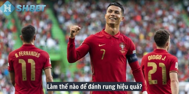 Làm thế nào để đánh rung hiệu quả?