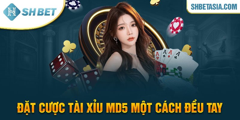 Đặt cược tài xỉu MD5 một cách đều tay