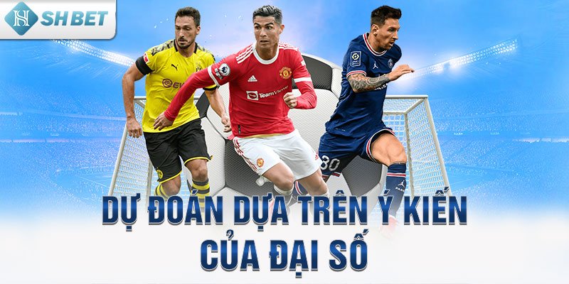 Dự đoán dựa trên ý kiến của đại số