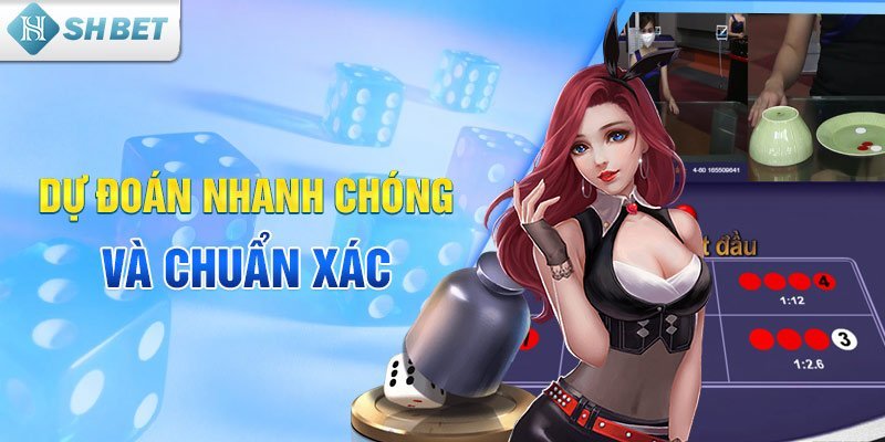 Dự đoán nhanh chóng và chuẩn xác