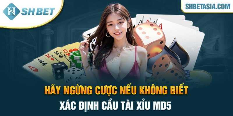 Hãy ngừng cược nếu không biết xác định cầu tài xỉu MD5