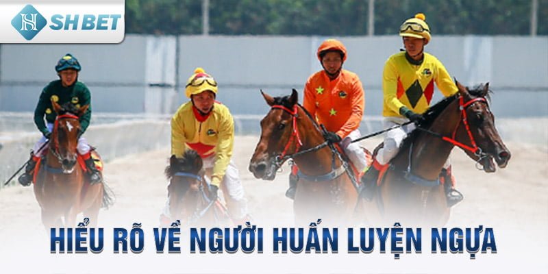 Hiểu rõ về người huấn luyện ngựa