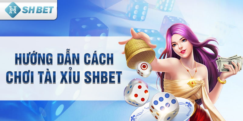 Hướng dẫn cách chơi tài xỉu SHbet