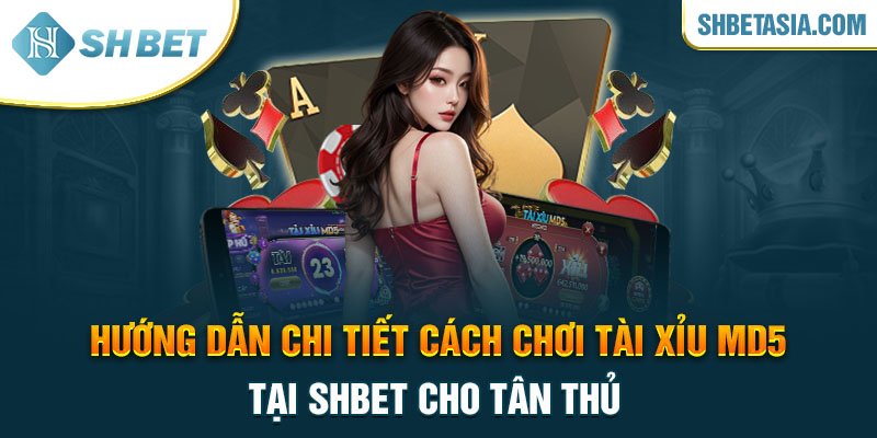 Hướng dẫn chi tiết cách chơi tài xỉu MD5 tại SHBET cho tân thủ