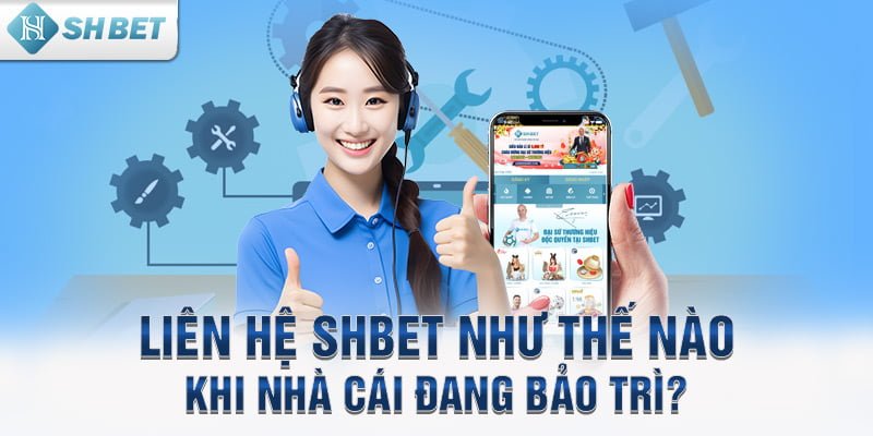 Liên hệ SHBET như thế nào khi nhà cái đang bảo trì?