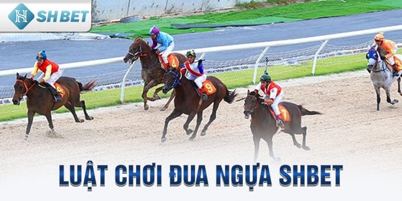 Luật chơi đua ngựa SHbet