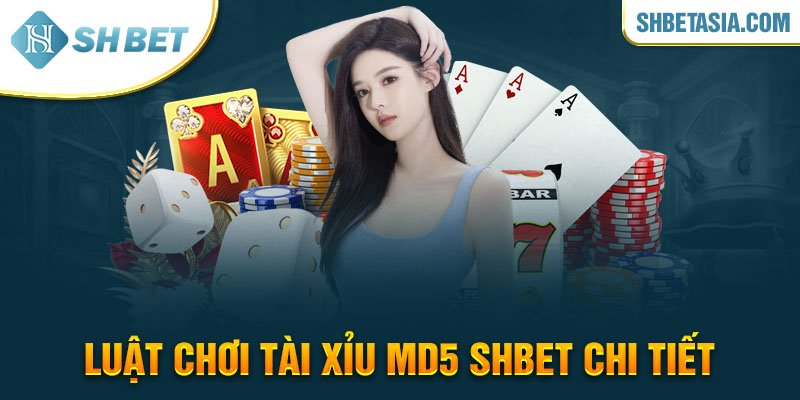 Luật chơi tài xỉu MD5 SHBET chi tiết