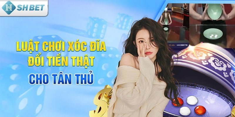 Luật chơi xóc đĩa đổi tiền thật cho tân thủ