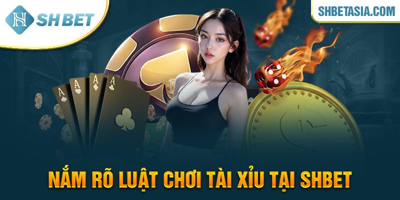 Nắm rõ luật chơi tài xỉu tại SHBET