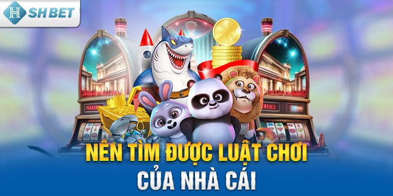 Nên tìm được luật chơi của nhà cái