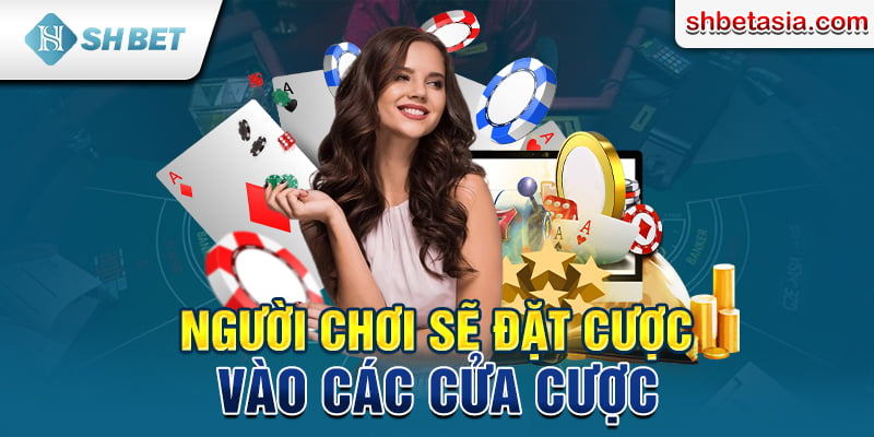 Người chơi sẽ đặt cược vào các cửa cược