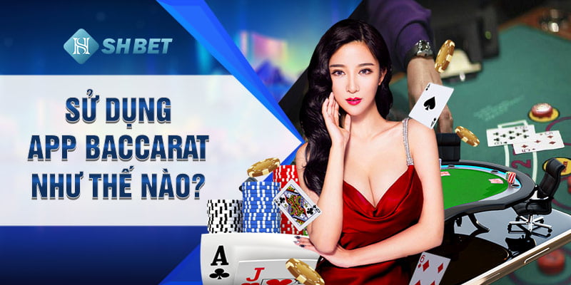 Sử dụng app Baccarat như thế nào?