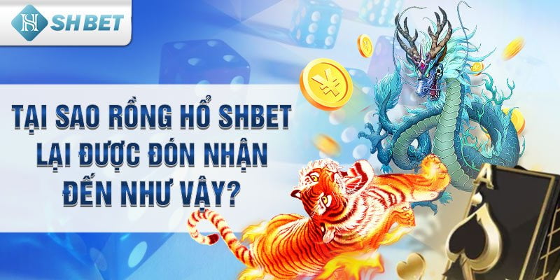 Tại sao Rồng Hổ SHbet lại được đón nhận đến như vậy?