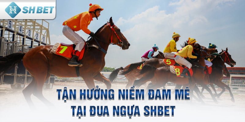 Tận hưởng niềm đam mê tại đua ngựa SHbet