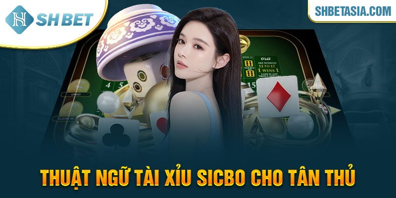 Thuật ngữ Tài Xỉu Sicbo cho tân thủ