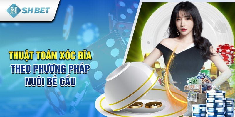 Thuật toán xóc đĩa theo phương pháp nuôi bẻ cầu