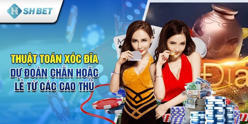 Thuật toán xóc đĩa dự đoán chẵn hoặc lẻ từ các cao thủ