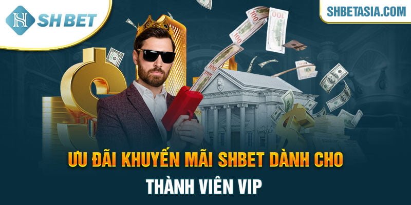 Ưu đãi khuyến mãi SHBET dành cho thành viên VIP